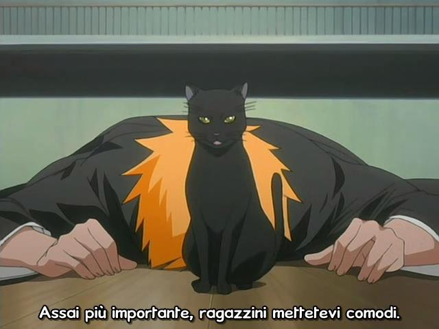 Otaku Gallery  / Anime e Manga / Bleach / Screen Shots / Episodi / 025 - Sfondare al centro con un enorme proiettile / 025.jpg